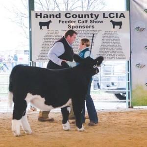 Meet your Posher, Brenda